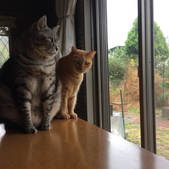 8e56e902 6052 4065 a6dc b33b424473cf