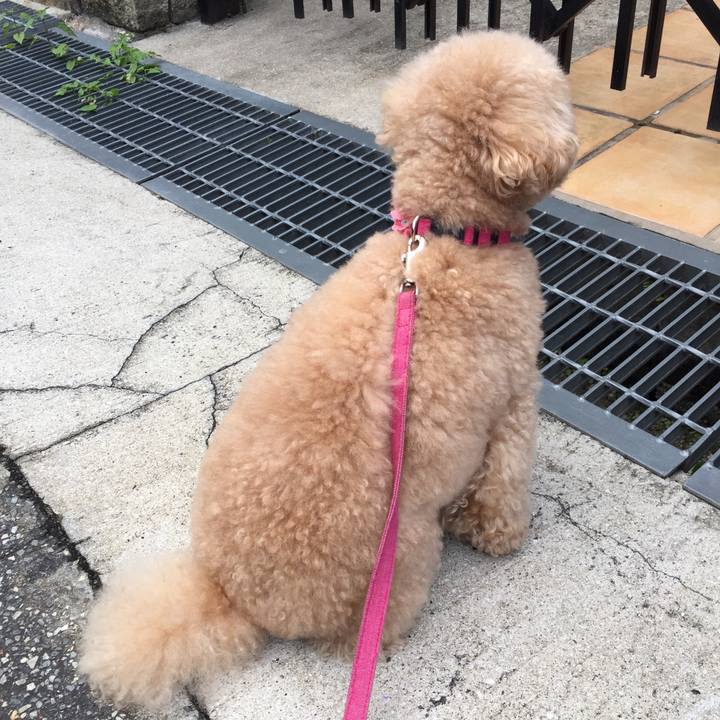 8e572190 e52d 45bb a820 725b9758b07c