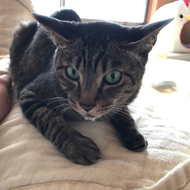 8e5746d2 4410 41c7 9e40 83445c54be93