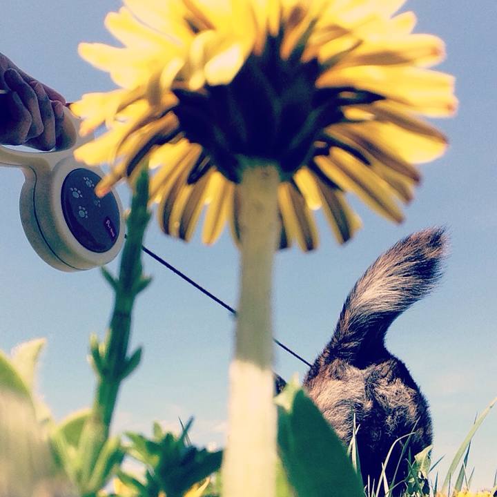 8e57c48c f054 4ba0 9874 ac541f45ee79