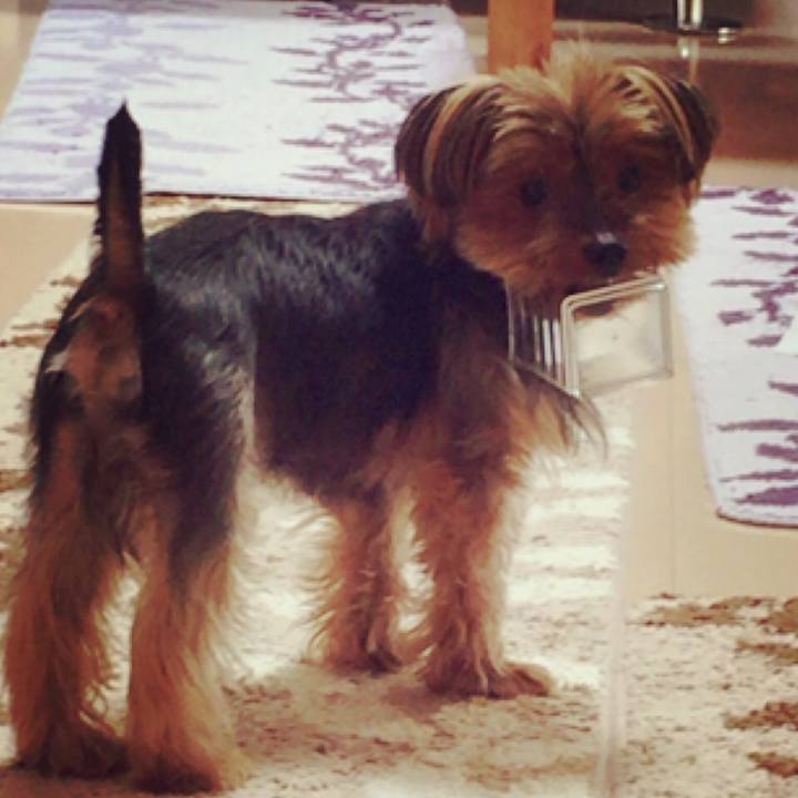 8e59389e 0baf 45ab 8702 9105a22351b4