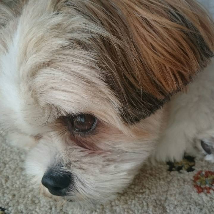 8e59a02d cb49 4dc7 894a 5aabce7ae078