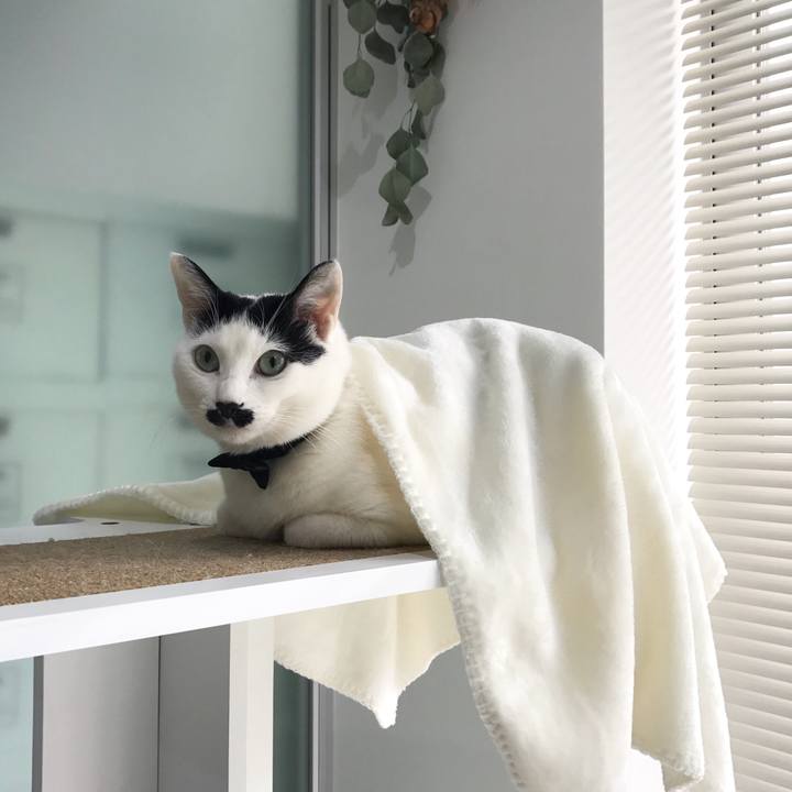 8e59bdb9 f6a9 446d 8133 260ce0fce627