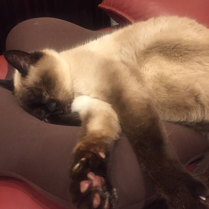 8e5a8263 7e80 4e22 82ad 9ff9e1c1003c