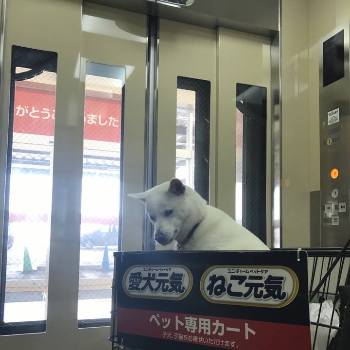 8e5af8ef 751e 4a5b 86f9 1f19061cd8b8