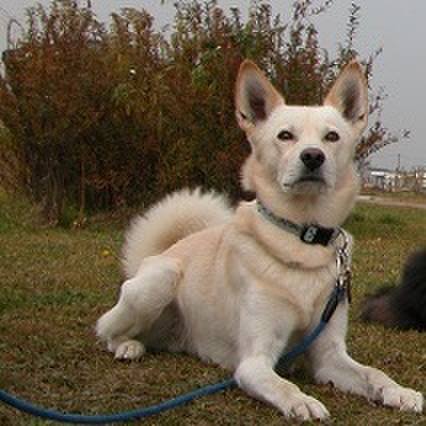 8e5b721d 2740 42c2 a824 ab681e192640