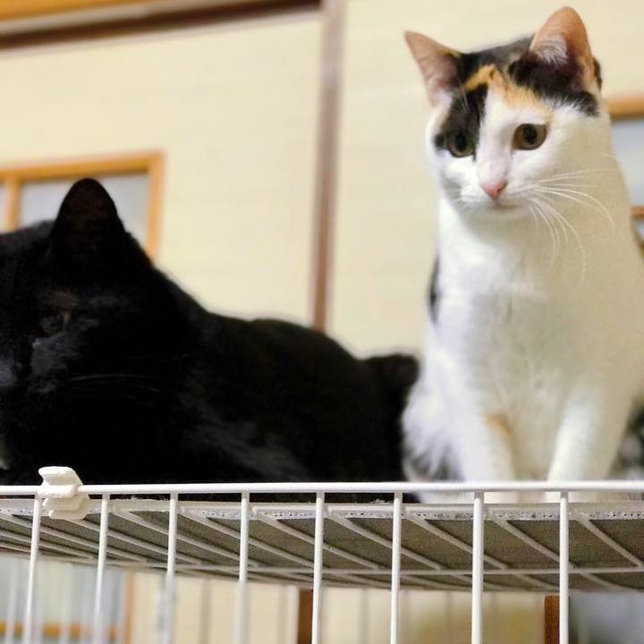 8e5b7eed 9cef 4c15 b527 467fe59a7b24