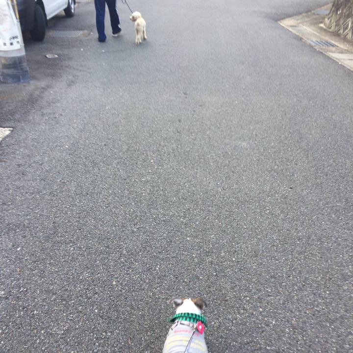 8e5cee8e fbd1 4409 b91c 0629a022d7ec