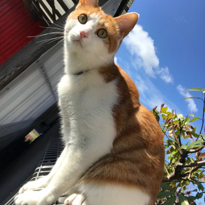 8e5d1200 e935 4adc bcce 543f7f380ee6