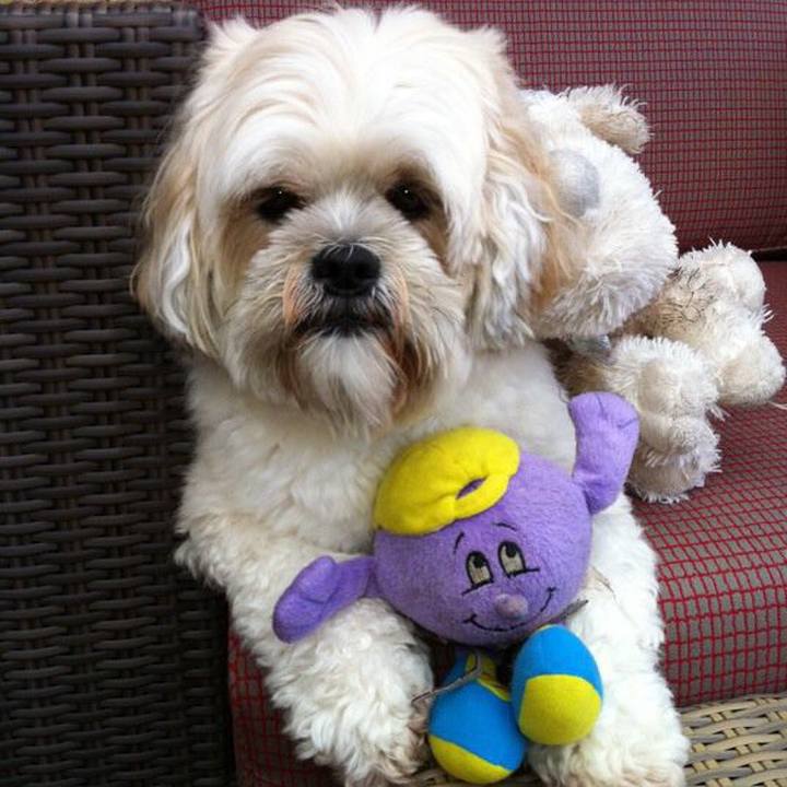 8e5e8ce8 ba35 46c6 bfa3 d2544488a5a6