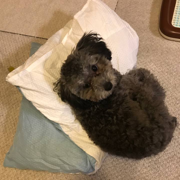 8e5ec8ad 5be1 4293 b04b 2121df560665