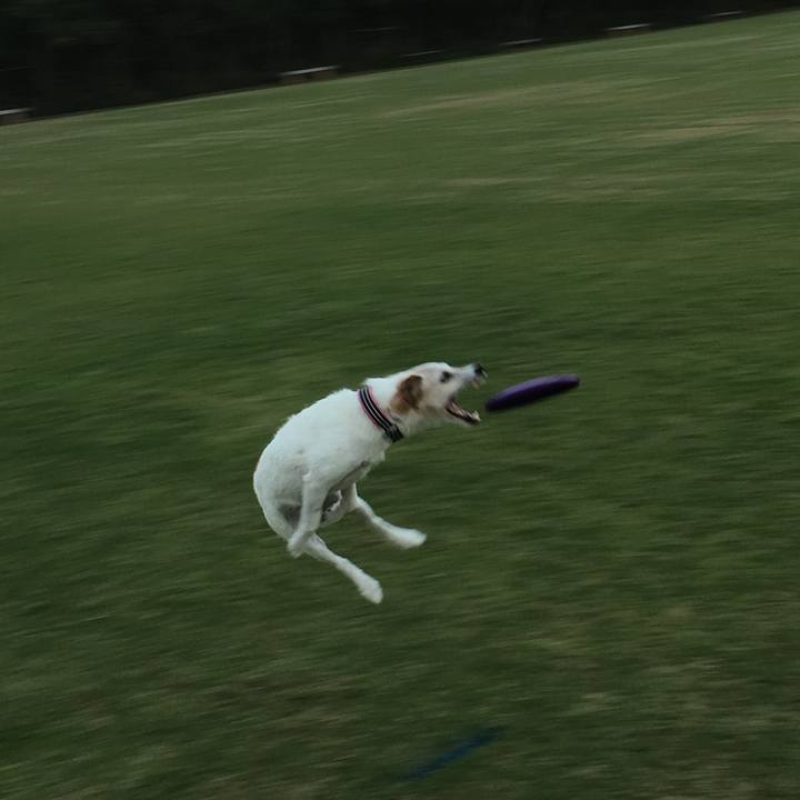 8e5fcfda d88d 4ebf a0f9 8f16a671ac19