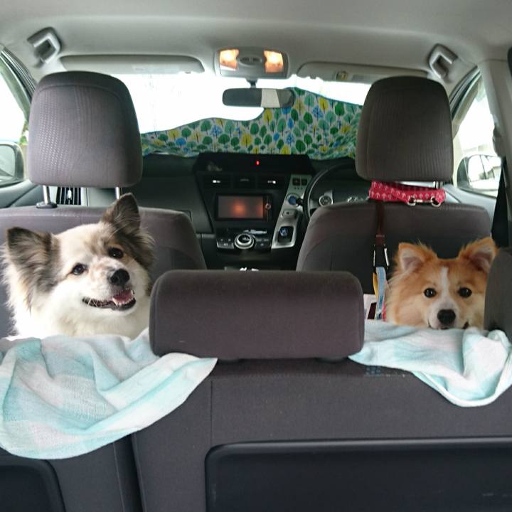 8e605224 549d 40c2 bd87 0986c1b57d1a