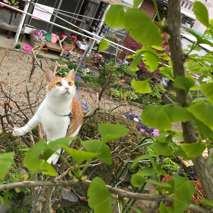 8e60ab11 6d7e 4ad9 9472 69e8dd84cf23