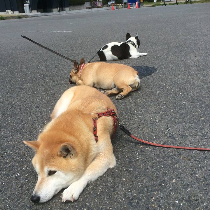 8e60ac68 9dda 4e10 b476 dadce2d09c15