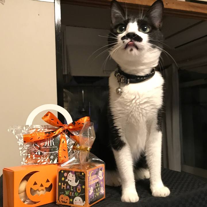 8e6181cd b87a 4687 889a 8e84211cf2e9