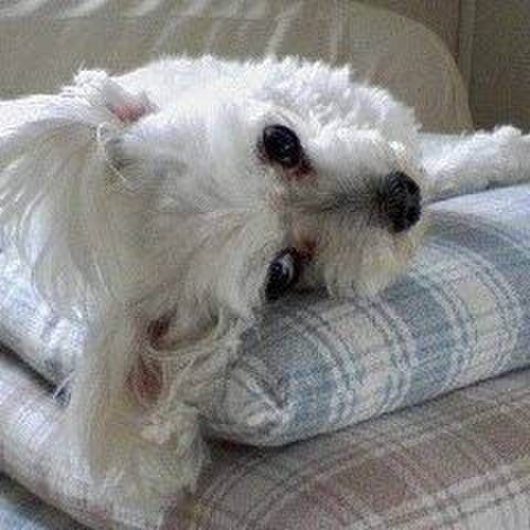 8e6182fc a909 4a19 b494 769cd0965113