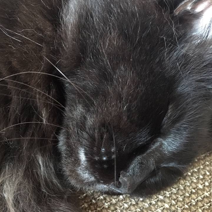 8e61a34b a66e 43a7 9cec b8787eb08ca0