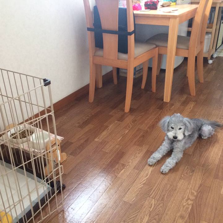 8e61c872 d534 48fb 928f c316f51f7670