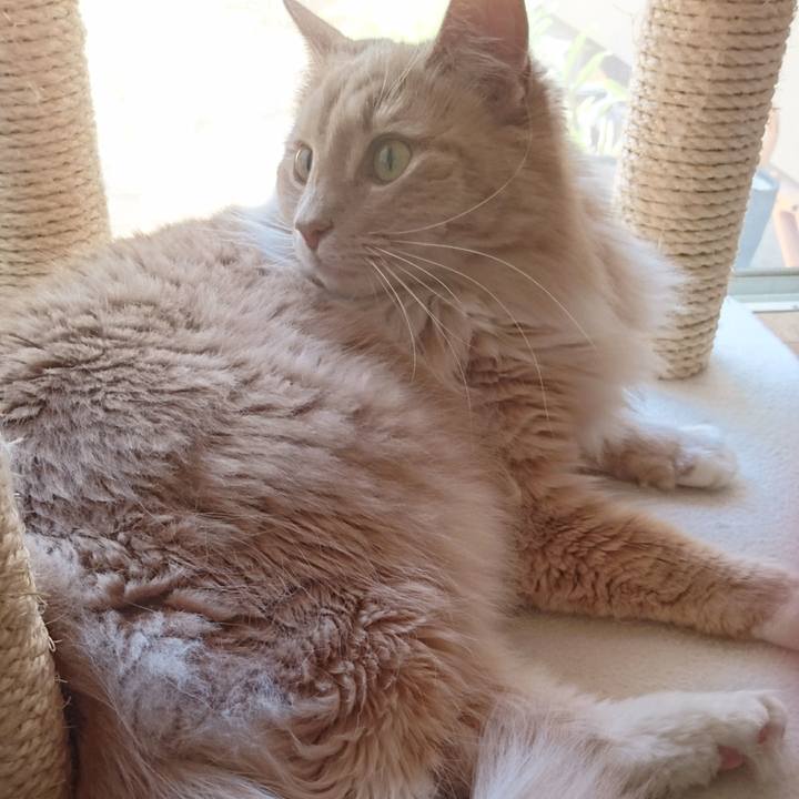 8e621e18 6c70 48f2 9456 5d515ffc1ea9