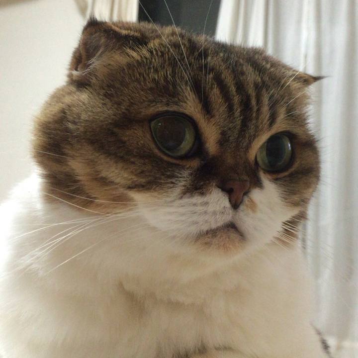 8e625d4a 13e1 42ff afe0 465e089f8674