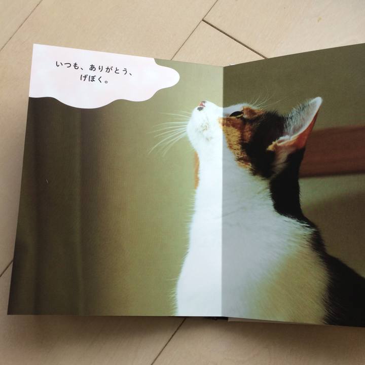 8e62f3f2 0216 4259 b331 f2122ae4b590