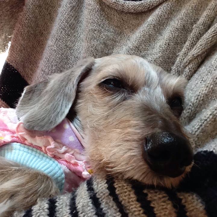 8e6337cb a2a4 4a12 8264 c5f922f27ceb