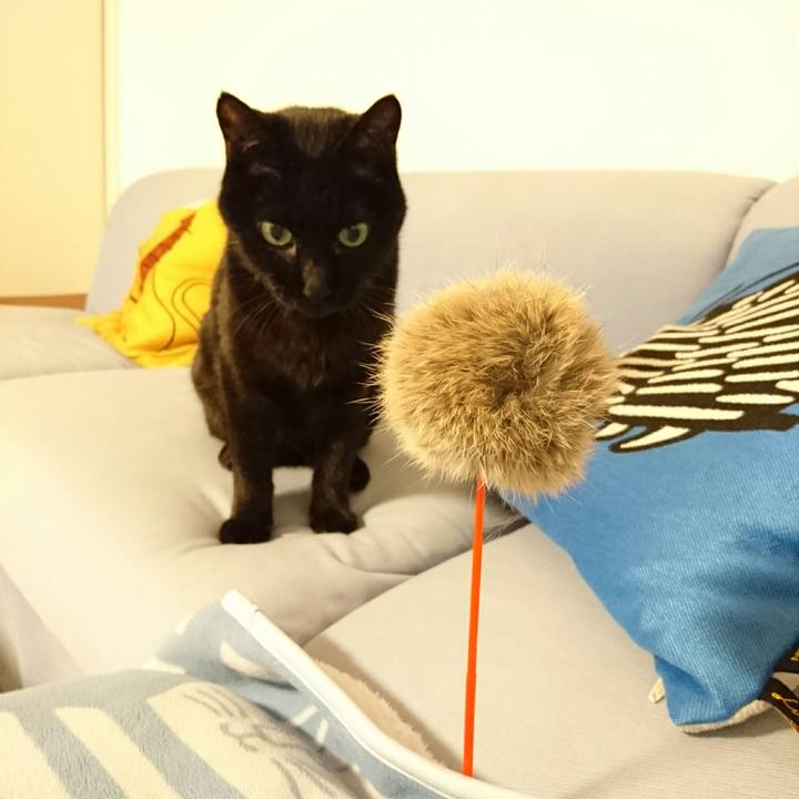 8e644174 07b6 4ae2 9051 fc5e084e2259