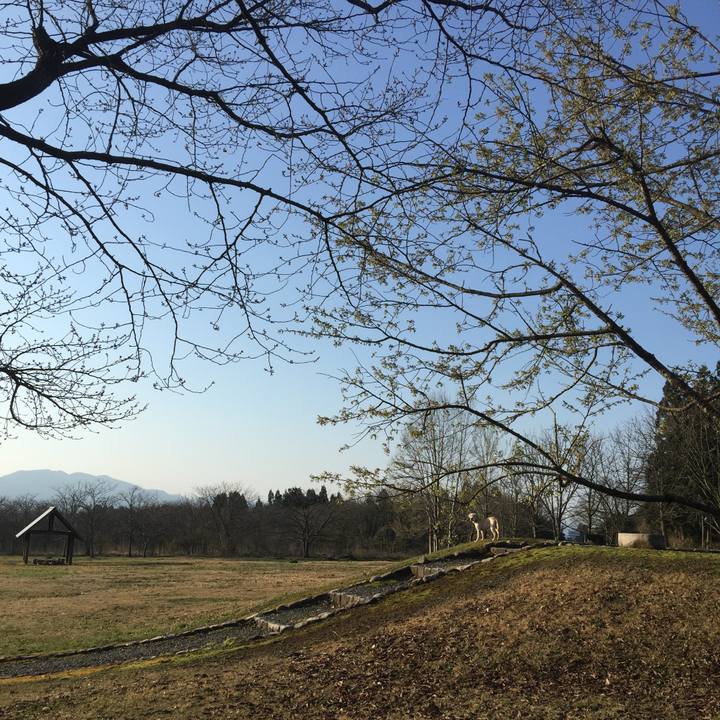 8e648d2c 1751 4935 bf58 a704cbb4c13b