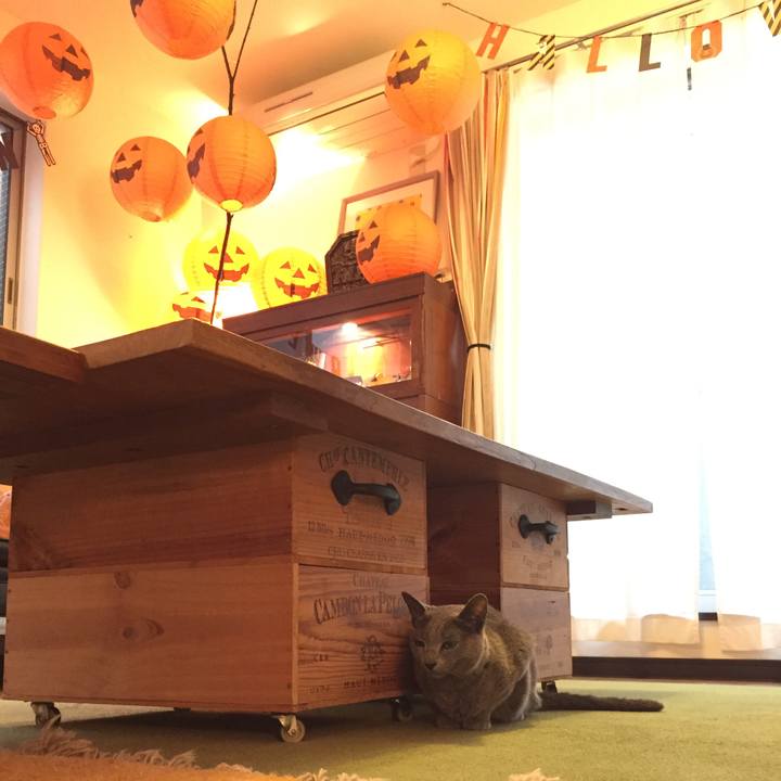 8e6581fa 074e 4fb2 8132 65f94d7c87b8