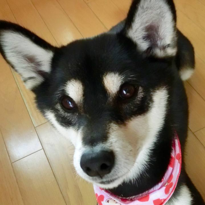 8e65ed0c 21c1 412c aadc 3443aca82d22