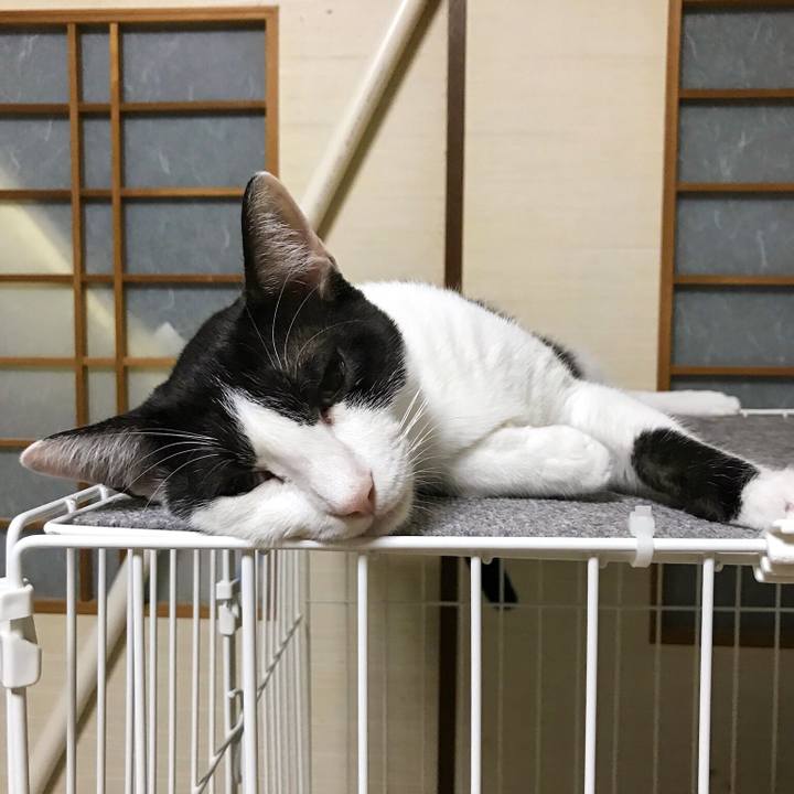 8e6630f5 fb4d 40d9 8d67 3eaeda316c40