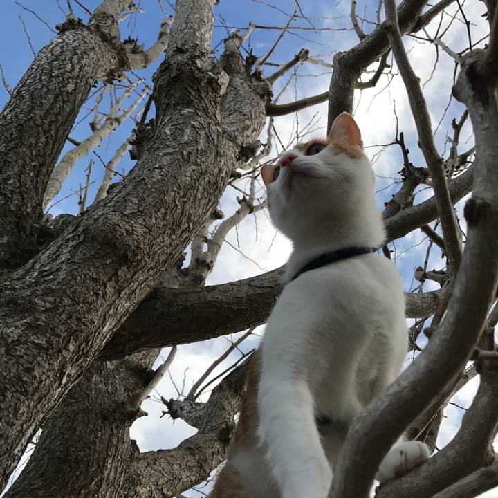 8e6657b9 5ebc 4f3c 9737 cb1fc69c171a