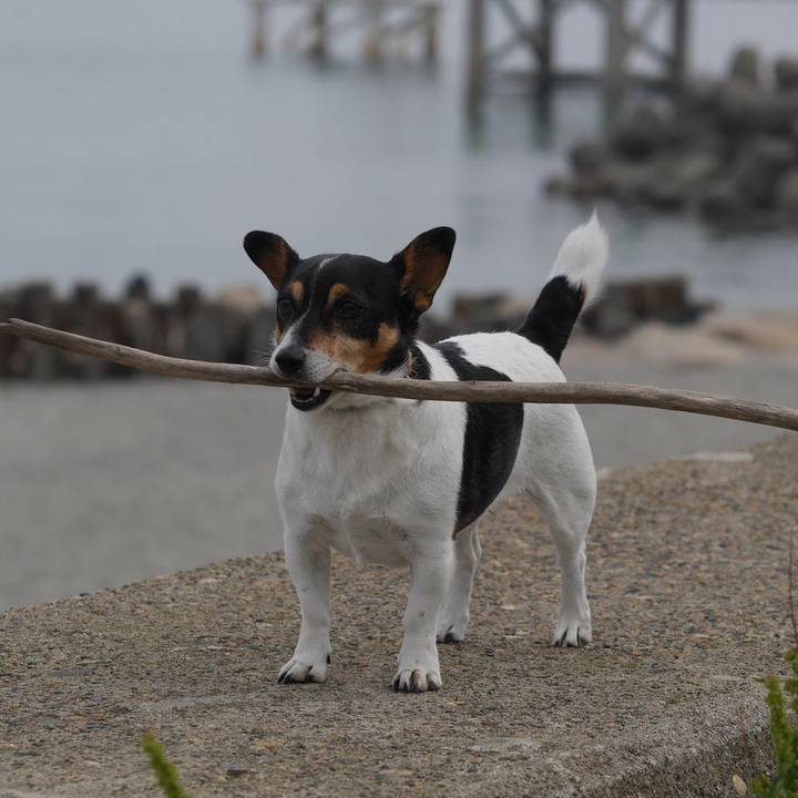 8e666cb4 f64b 4812 9de9 42b3869746a8