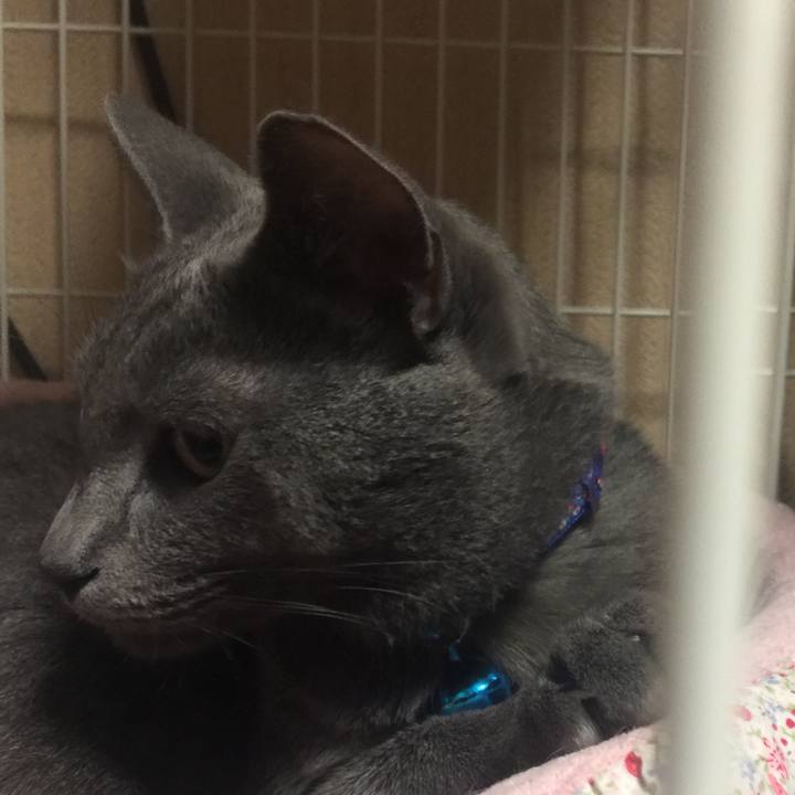 8e668005 126b 488a 8f6d 3ccd58963cb6