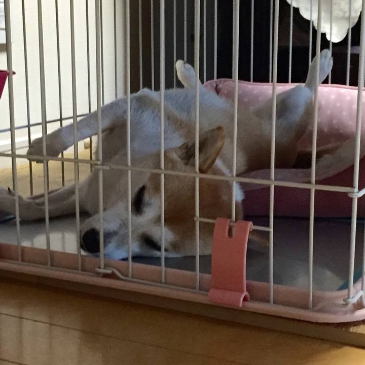 8e669298 0994 4b72 8c0b c314236158aa