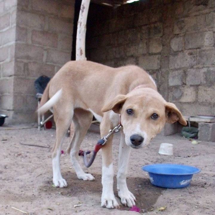 8e67bcf3 9901 40db a731 f89f6840b297