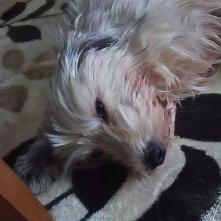 8e68678a af59 42e5 8080 c47d61dfa264