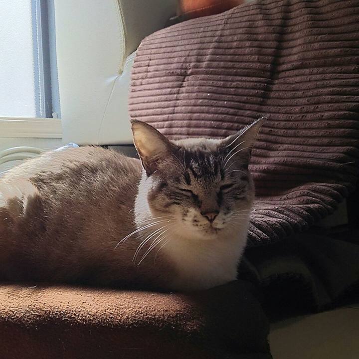 8e68e1fd 2f47 4147 95f7 82e081295563