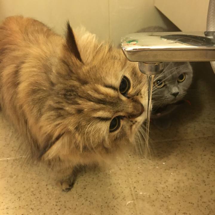 8e69885d dcc5 451c 8834 73d5beb61f2e