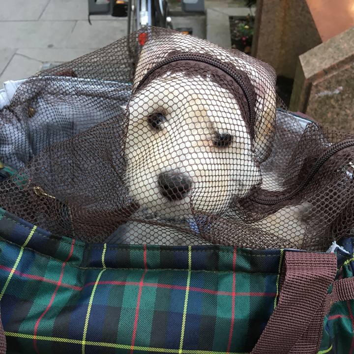 8e69935f 04cf 4b0f 9c90 fd5a40b187e9