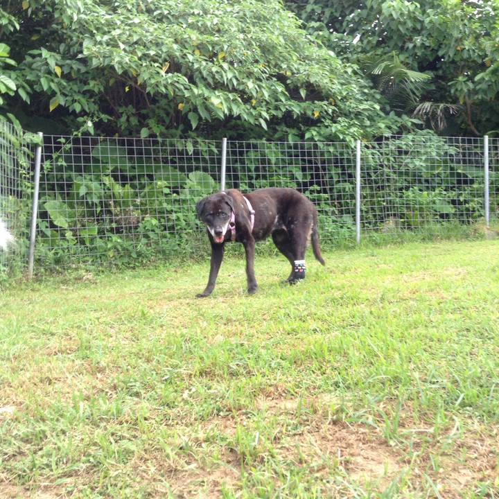 8e6a3522 5b89 4879 8fec 86b9238feedf