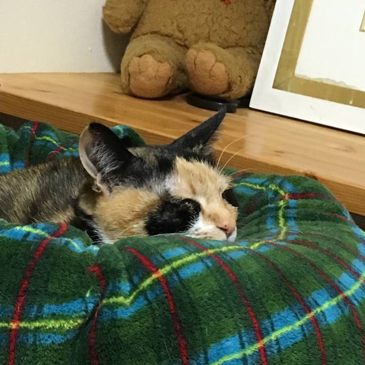 8e6af304 f730 4b03 a962 a16d01dba55d