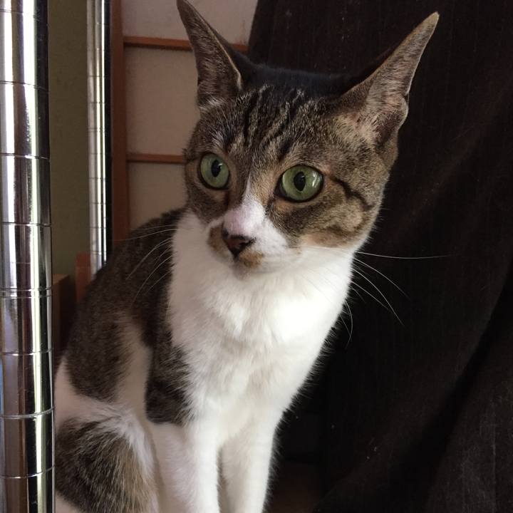 8e6ba248 ebc2 468f 84ca 96f05468d569