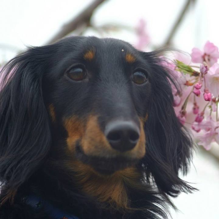 8e6c4ace f003 4988 851e 6c0834d7c1d2