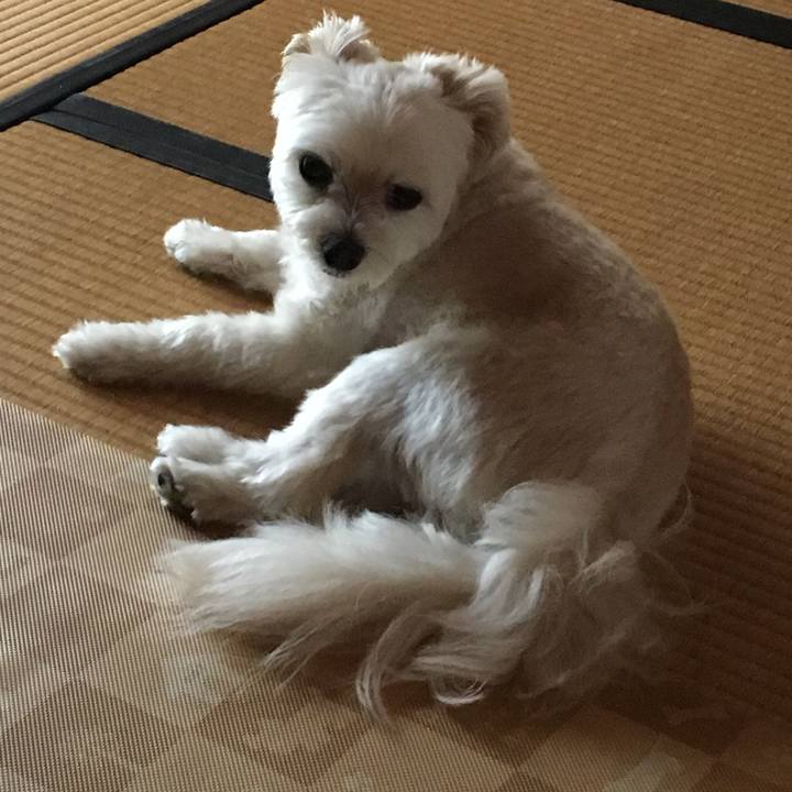 8e6c6211 bab7 4386 98b3 bc22840b7130