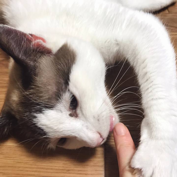 8e6c9ee3 bee9 4108 a0ac e6c13c10a369