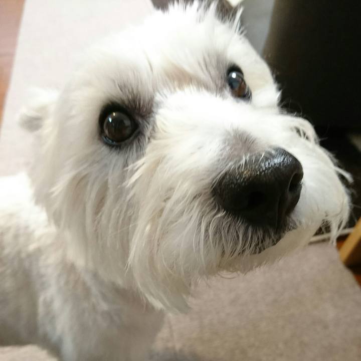 8e6d4e3f 42c3 4eb6 b398 acfdfb4e2410