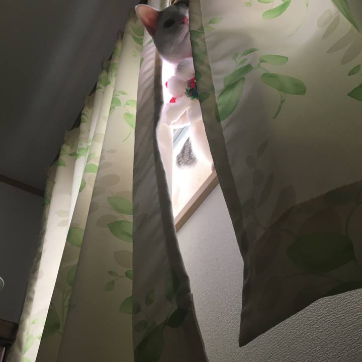 8e6d6a6d 8f15 4588 bfac 41d3ced2372b