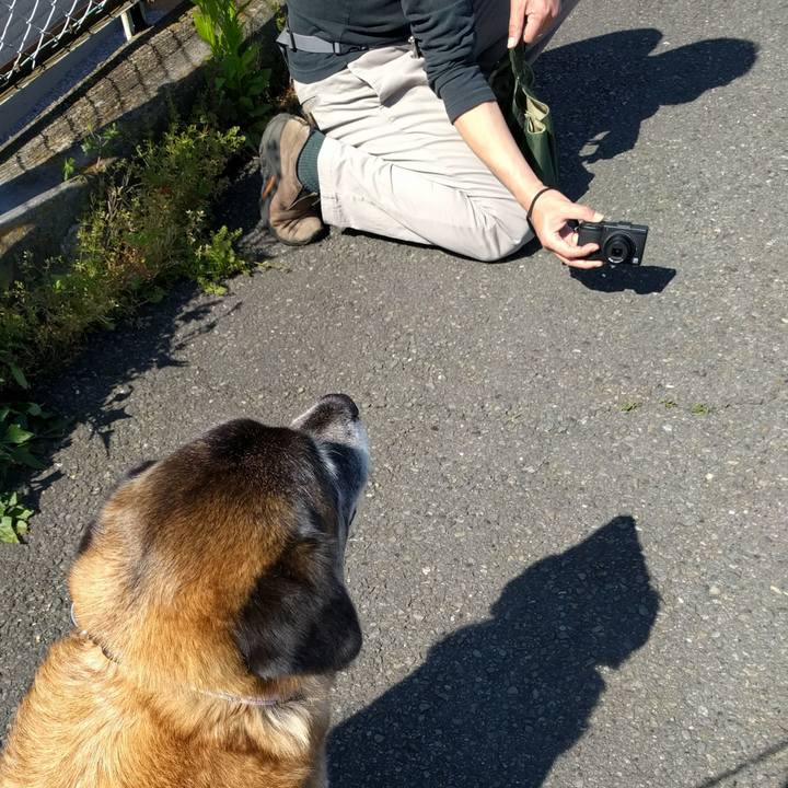 8e6da46e f3ec 4917 acbf 4868a3fcbfd5